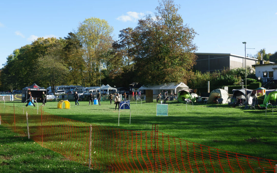 Erfolgreiches erstes Hoopers-Turnier bei der SV OG Arnsberg
